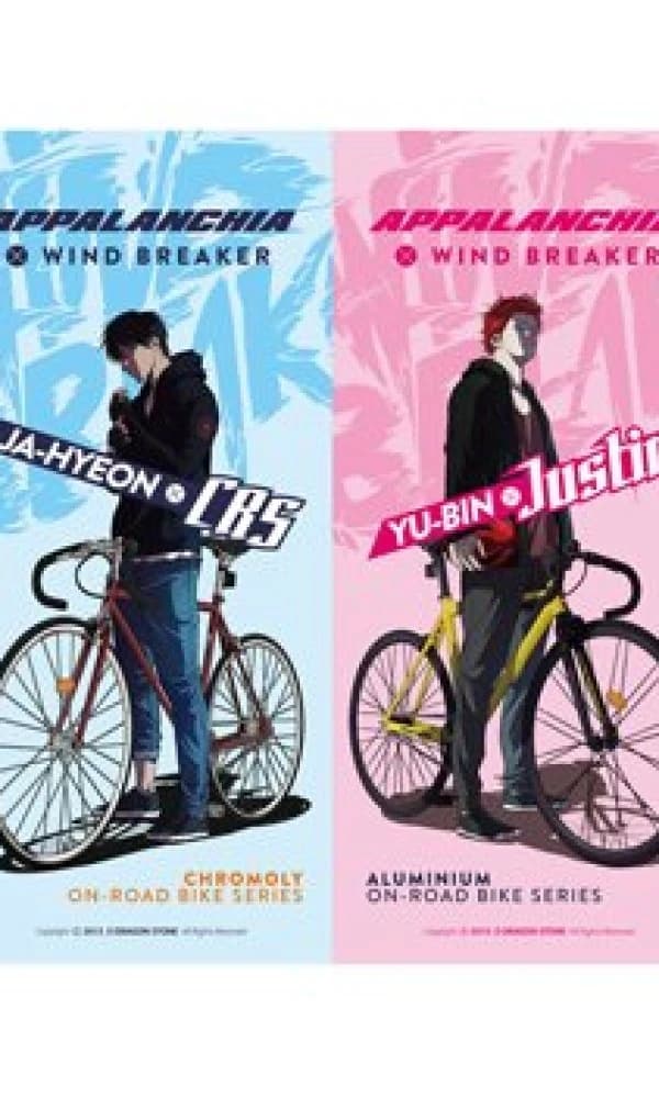 Wind Breaker