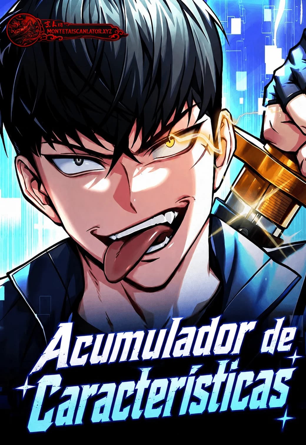Acumulador de Características
